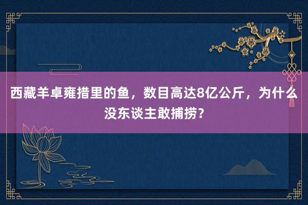 西藏羊卓雍措里的鱼，数目高达8亿公斤，为什么没东谈主敢捕捞？