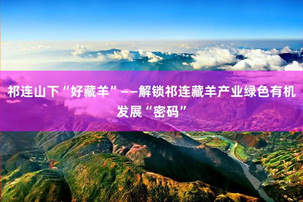 祁连山下“好藏羊”——解锁祁连藏羊产业绿色有机发展“密码”