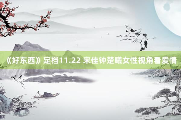 《好东西》定档11.22 宋佳钟楚曦女性视角看爱情
