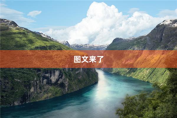 图文来了