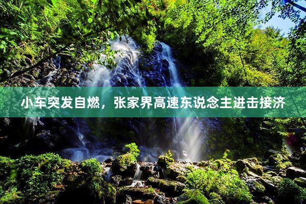 小车突发自燃,张家界高速东说念主进击接济