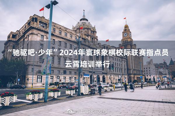 “驰驱吧·少年”2024年寰球象棋校际联赛指点员云霄培训举行