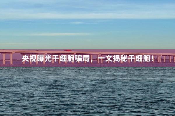 央视曝光干细胞骗局，一文揭秘干细胞！