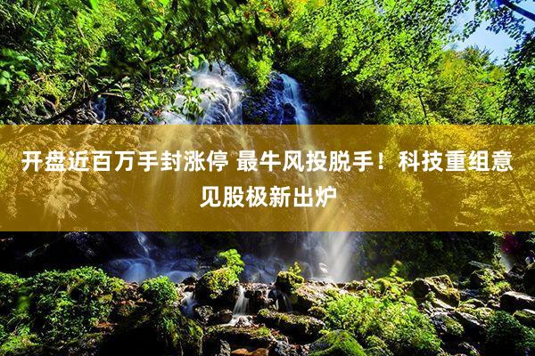 开盘近百万手封涨停 最牛风投脱手！科技重组意见股极新出炉