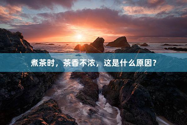 煮茶时，茶香不浓，这是什么原因？
