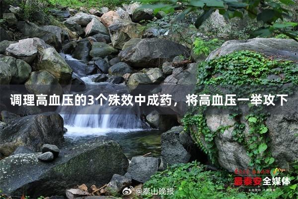 调理高血压的3个殊效中成药，将高血压一举攻下