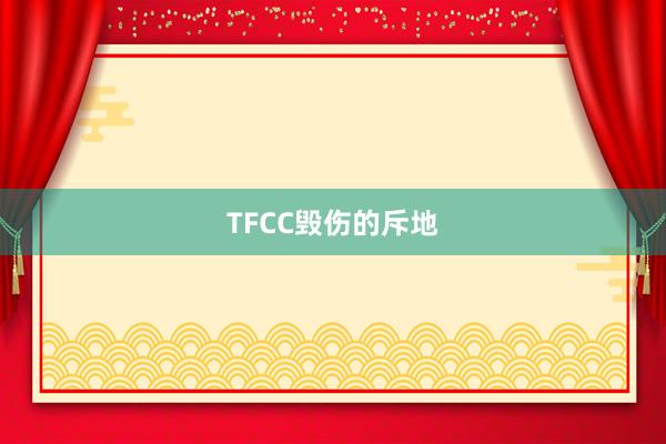 TFCC毁伤的斥地