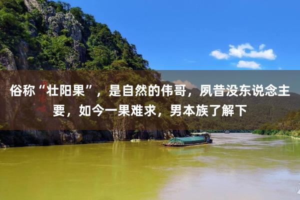 俗称“壮阳果”，是自然的伟哥，夙昔没东说念主要，如今一果难求，男本族了解下