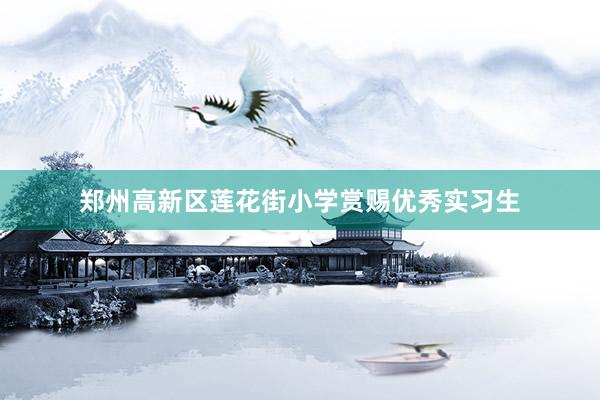 郑州高新区莲花街小学赏赐优秀实习生