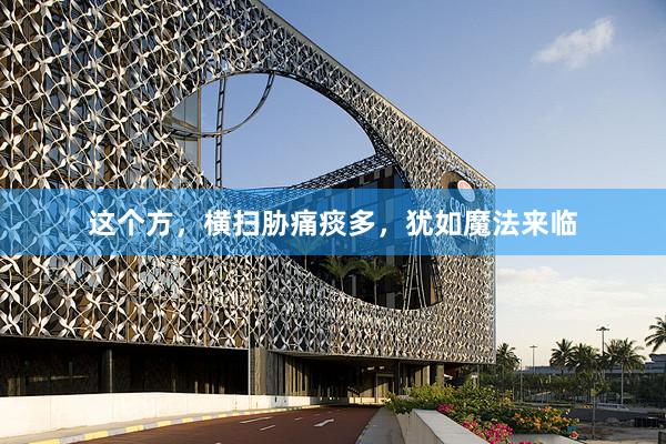 这个方，横扫胁痛痰多，犹如魔法来临