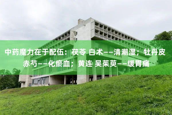中药魔力在于配伍：茯苓 白术——清潮湿；牡丹皮 赤芍——化瘀血；黄连 吴茱萸——缓胃痛