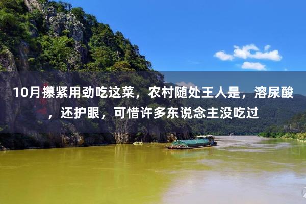 10月攥紧用劲吃这菜，农村随处王人是，溶尿酸，还护眼，可惜许多东说念主没吃过