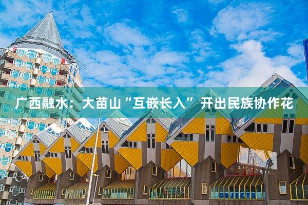 广西融水：大苗山“互嵌长入” 开出民族协作花