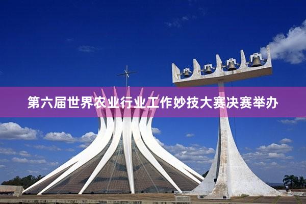 第六届世界农业行业工作妙技大赛决赛举办
