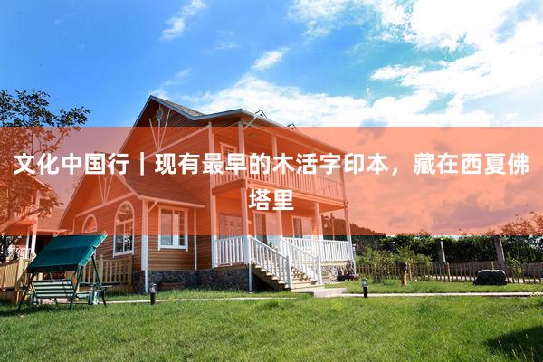 文化中国行｜现有最早的木活字印本，藏在西夏佛塔里
