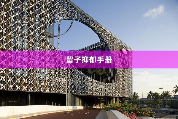 留子抑郁手册