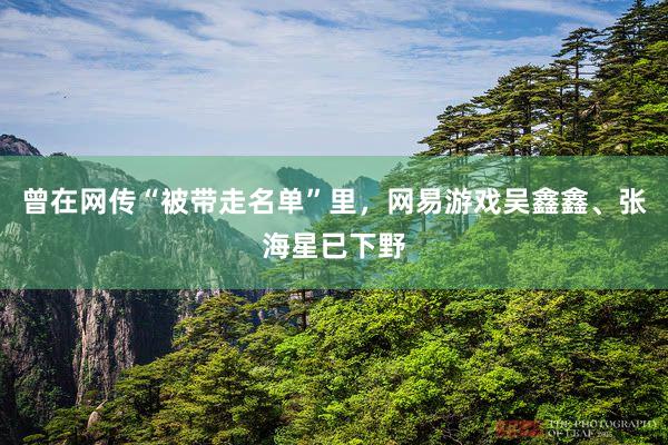 曾在网传“被带走名单”里，网易游戏吴鑫鑫、张海星已下野