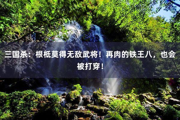 三国杀：根柢莫得无敌武将！再肉的铁王八，也会被打穿！