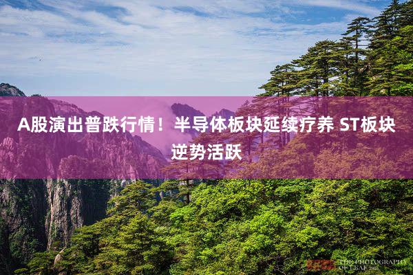 A股演出普跌行情！半导体板块延续疗养 ST板块逆势活跃