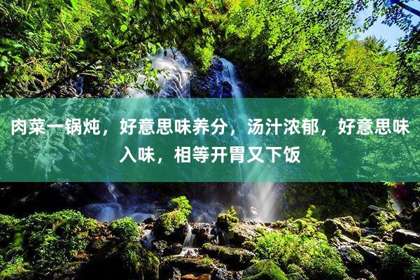 肉菜一锅炖，好意思味养分，汤汁浓郁，好意思味入味，相等开胃又下饭