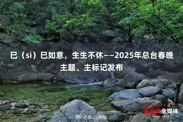 巳（sì）巳如意，生生不休——2025年总台春晚主题、主标记发布
