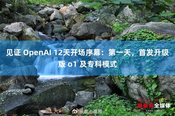 见证 OpenAI 12天开场序幕：第一天，首发升级版 o1 及专科模式