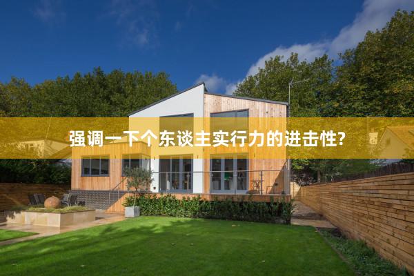 强调一下个东谈主实行力的进击性?