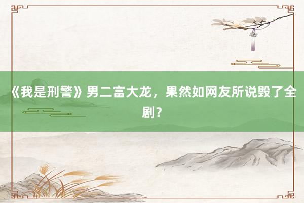 《我是刑警》男二富大龙，果然如网友所说毁了全剧？